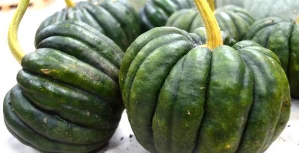 Squash Black Futsu