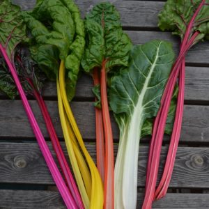 Chard Five Colours
