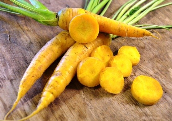 Carrot Yellowstone