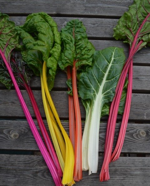Chard Five Colours
