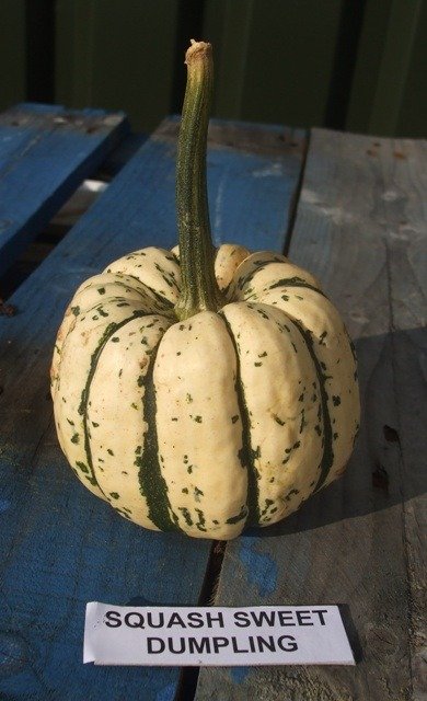 Squash Sweet Dumpling