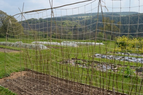 Jute Netting