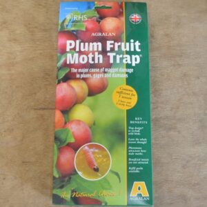 Plum Fruit Moth Trap