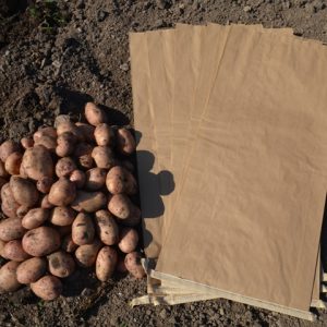 POTATO SACKS
