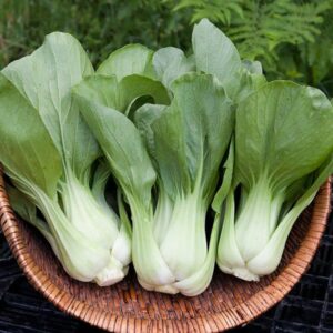 Organic Oriental Shanghai Green