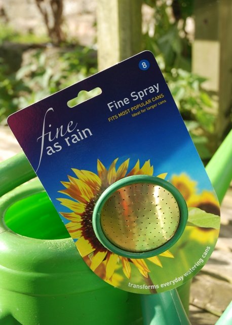 Watering Can Rose Fine Spray
