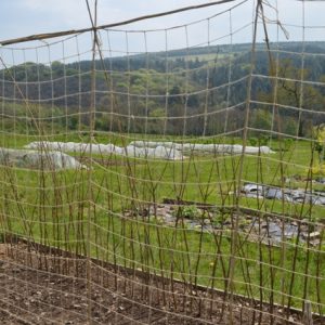Jute Netting