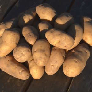 Potato Charlotte