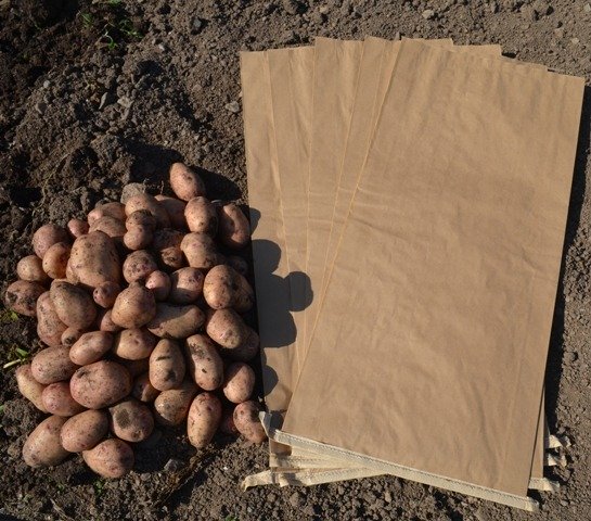 Potato Sacks