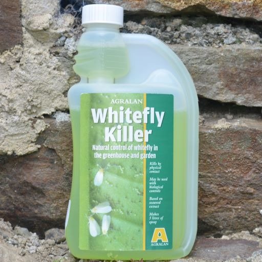 Whitefly Killer