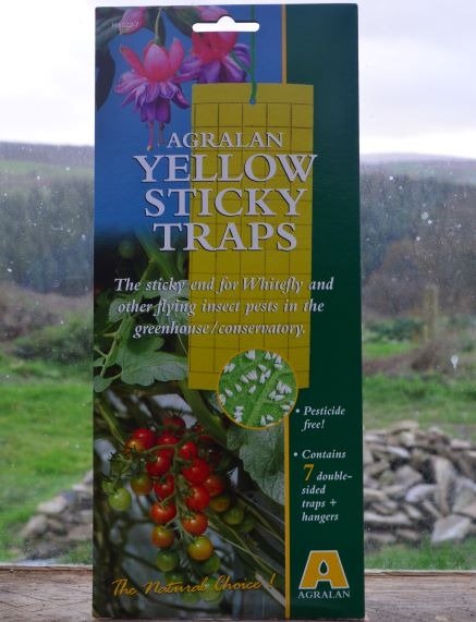 Yellow Sticky Traps