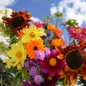 Herbs & Flowers