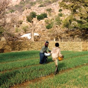 Joliba Trust