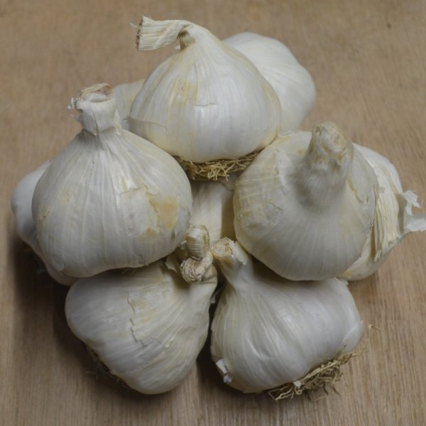 Garlic Cledor