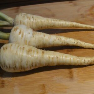 Parsnip Everton