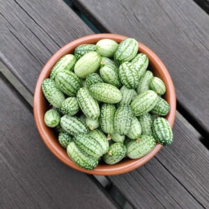 Cucamelon (2)