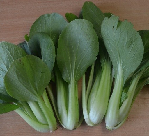 Pak Choi: Yorokobi