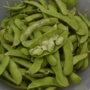 Beans (edamame) Hokkai Green