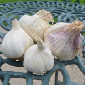 Garlic Mix