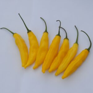 Pepper Hot Lemon