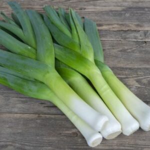 Organic Leek Blue Green Winter Husky