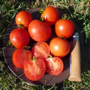 Organic Tomato Gutingi