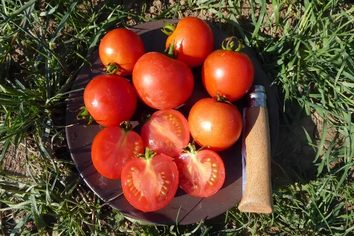 Organic Tomato Gutingi